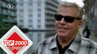 madness the story behind many songs top 2000 a gogo
