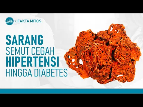 Sarang Semut Kaya Antioksidan, Ini Manfaatnya