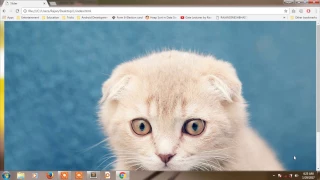 How to create image slider with only CSS NO JAVASCRIPT