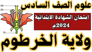 امتحان علوم الصف السادس امتحان الشهادة الابتدائية ٢٠٢٤م ولاية الخرطوم أ بكري نورالدين  امتحان علوم الصف السادس امتحان الشهادة الابتدائية ٢٠٢٤م ولاية الخرطوم أ بكري نورالدين