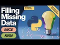 MISSING VALUES Watch Mice and Pandas Save the Day in Python