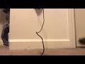 How to Charge VUSE Alto without the Charger