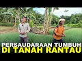 Download Lagu PAK SUDIWANI \u0026 PAK ARIANTO KOMPAK BERKEBUN SAYUR DI TANAH RANTAU KALIMANTAN
