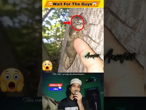 real loking but this fake 🤯Islamicvlog #islamicvlog #youtubeshorts #islam #reaction