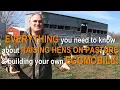 PASTURING LAYING HENS eggmobile design training hens moving the setup and egg quality