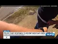 Ridgeland Police Chief responds after body-cam goes viral