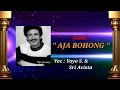 lirik lagu - AJA BOHONG yoyo s.
