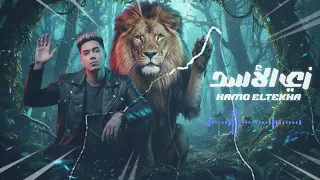                                                  حمو الطيخا   زي الأسد واقف وتد دندنها
