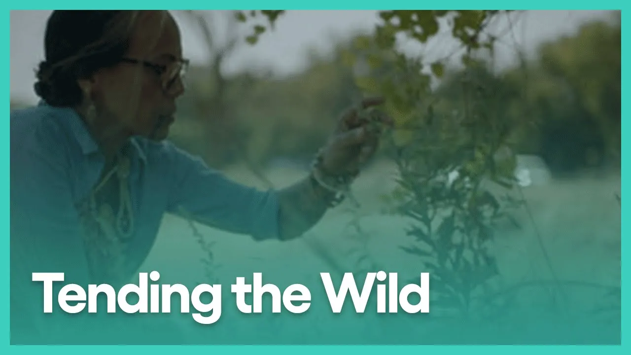 Tending the Wild (Hour Long Special) | PBS SoCal