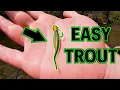 STOCKED TROUT FISHING Too EASY Pa Trout Fishing 2024