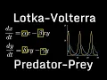 Predator-Prey Model Lotka-Volterra