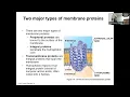 Chapter 7 Membrane Structure Function Part 1