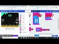 Microbit Bird Counter Code and Download