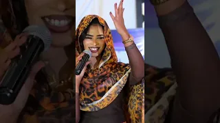 ايلاف عبدالعزيز   بموت في الزول القلبو حار    اغاني سودانية   استديو ساجدة للاغاني السودانية  دندنها