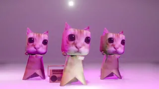El Gato Cats dancing to Bemax - COOL! (what you think that we think is cool)