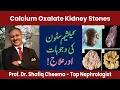 Calcium Oxalate Kidney Stones Causes Treatment by The Best Nephrologist in Lahore