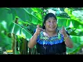 Download Lagu Martina Fuentes  VERAS LA GLORIA DE DIOS