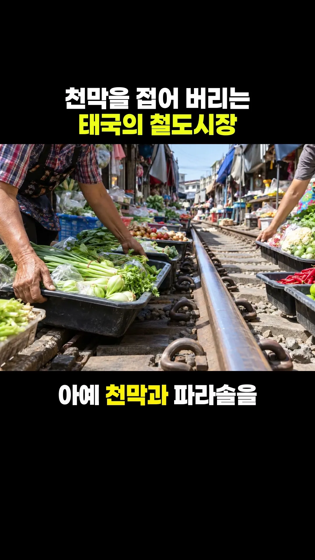 열차가 오면 천막을 접는 태국 시장 #shorts