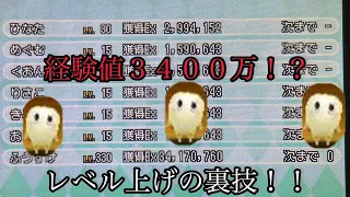 電波人間のrpg Free 経験値を攻略良く入手する方法を紹介します 