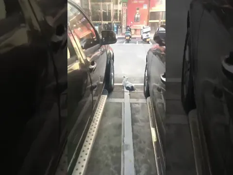 miren donde se quedo echado