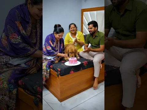 PeaNut ka Birthday with PeaNut #shorts