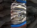 Ikan Asin Japu - Ikan Japuh 250 gram