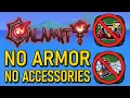 How Calamity Was Beaten Without Equipping a Single Item