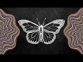 The Butterfly Effect EXPLAINED And How it Can Change Your Life