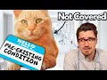 Preexisting Condition should you get Pet Insurance