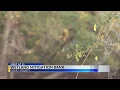 Horry County nearing end of yearslong effort to create 3 700-acre wetlands bank