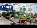 Lowes New statuary Inventory 2023 Concrete Birdbath Garden statues plastic pots