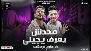 موال محدش يعرف يجيلي   انا اكتر منك شهره   طارق شئلشه  عادل صانوه   السلام الجديد دمار الديجهات      دندنها