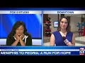 FOX13 anchor receives national attention after falling asleep on the job