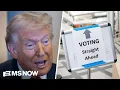 They re gone Trump FIRES members of independent election board