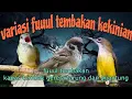 Download Lagu Fuuul tembakan panjang kapas tembak gereja tarung dan pijantung