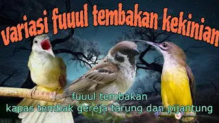 fuuul tembakan panjang kapas tembak gereja tarung dan pijantung