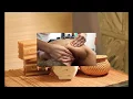 Massage Therapist Vacaville CA Call Now 707 305-1030
