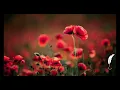念亲恩 (陈百强) - Chinese Piano Solo