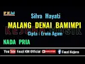 Download Lagu MALANG DENAI BAMIMPI - Silva Hayati [Karaoke/Lirik] Nada Pria