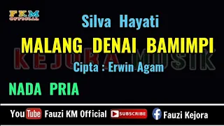 malang denai bamimpi silva hayati karaoke lirik nada pria