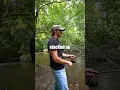 Download Lagu I Fished a Backwoods Creek🎣