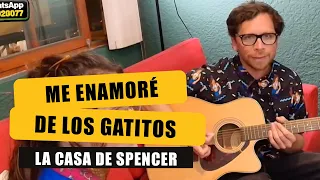 CÓMO ME ENAMORÉ DE LOS GATITOS. LA CASA DE HENRY SPENCER