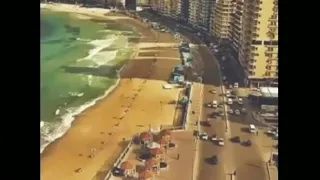 اجمد حاله واتس ابو الليف انا اللي كان قاتلني   دندنها