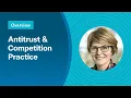 Antitrust Competition - Practice overview