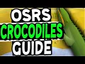 The Ultimate Crocodiles Slayer Guide Old School Runescape