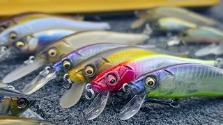 Fall Jerkbait Fishing For Bass! ( Beginner To Advanced – Full Seminar )