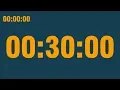 30 minute timer with end alarm time elapsed and progress bar