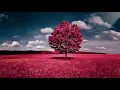 Dennis Lloyd - Nevermind (extended)
