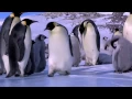 Download Lagu Penguin Fail - Best Bloopers from Penguins Spy in the Huddle (Waddle all the Way)