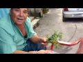 Como fazer uma meladinha ou temperada